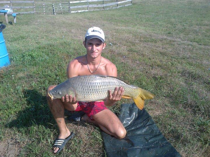 Sustra 2012 jud Timis - 296021_269441143084672_1398761_n.jpg